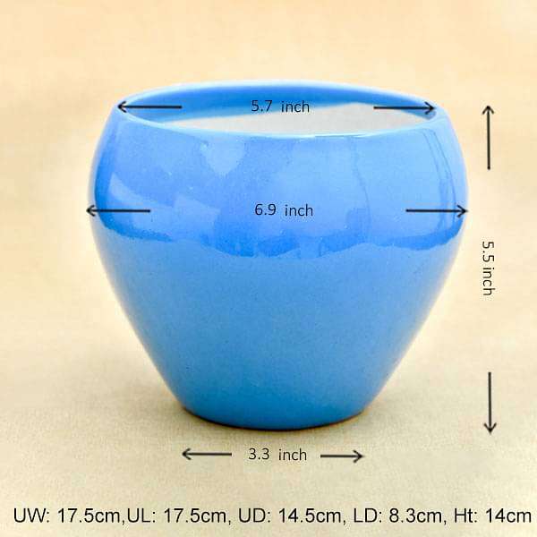 5.7 inch (14 cm) Apple Round Ceramic Pot (Blue) (set of 2) - Image 2
