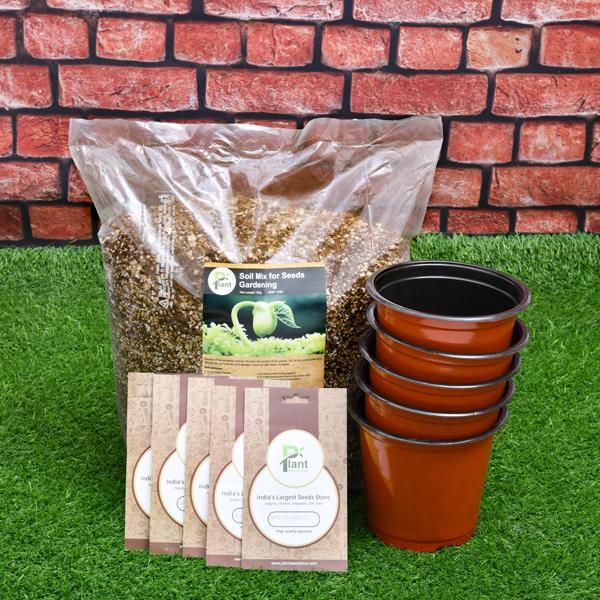 5 Best mix vegetable seeds (Desi) - Kitchen Garden Pack - Image 2