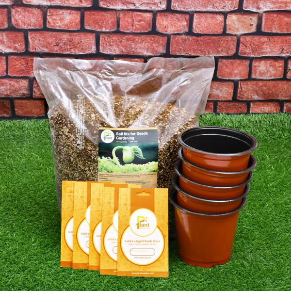 5 Best Seeds to Grow Organic Vegetables, Herbs - Kitchen Garden Pack - Image 2