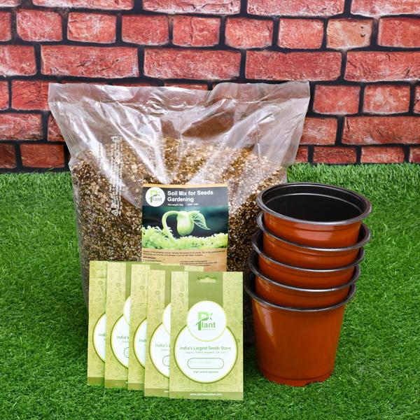 5 Easy To Grow Vegetable Seeds (Hybrid) - Kitchen Garden Pack - Image 2