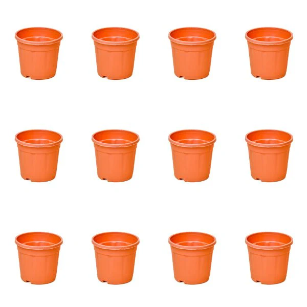 5 inch (13 cm) Grower Round Plastic Pot - Image 12