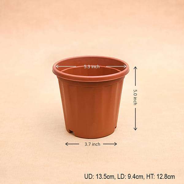 5 inch (13 cm) Grower Round Plastic Pot - Image 6