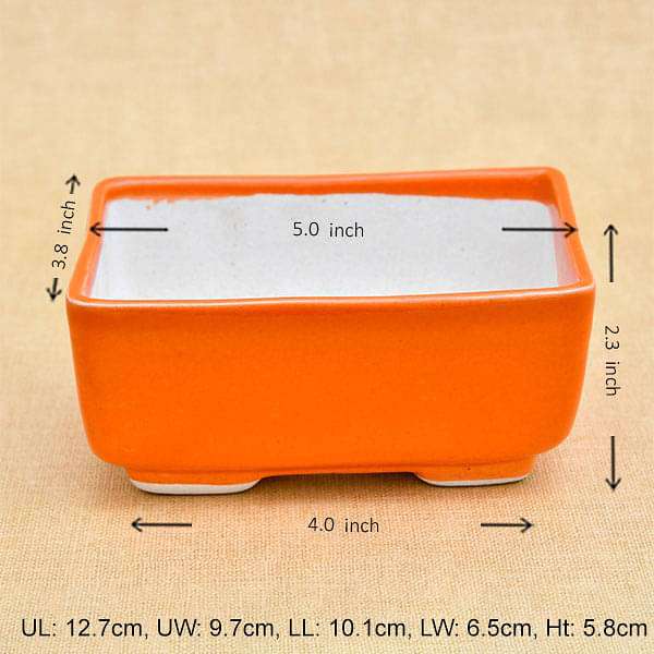 5 inch (13 cm) Bonsai Rectangle Ceramic Pot (Orange) (set of 2) - Image 2