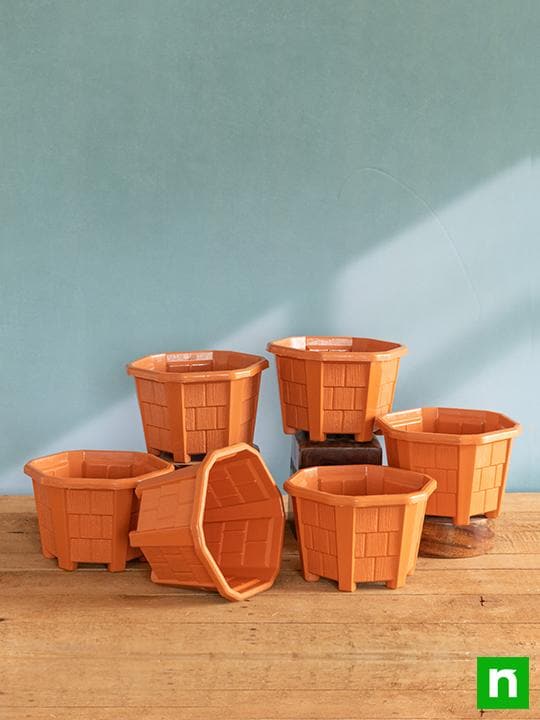 6.5 inch (17 cm) Hexa No. 2 Plastic Planter (Terracotta Color) (set of 6) - Image 2
