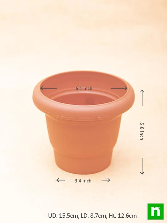 6.1 inch (15 cm) Green No. 5 Round Plastic Planter (Terracotta Color) (set of 6) - Image 3