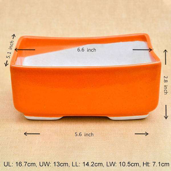 6.6 inch (17 cm) Bonsai Rectangle Ceramic Pot (Orange) (set of 2) - Image 2