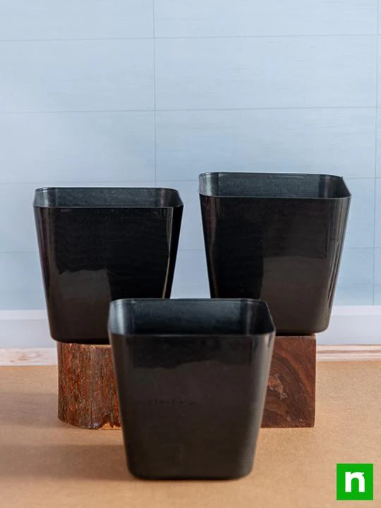 6.7 inch (17 cm) Square Plastic Planter with Rounded Edges (Black) (set of 3) - Image 2