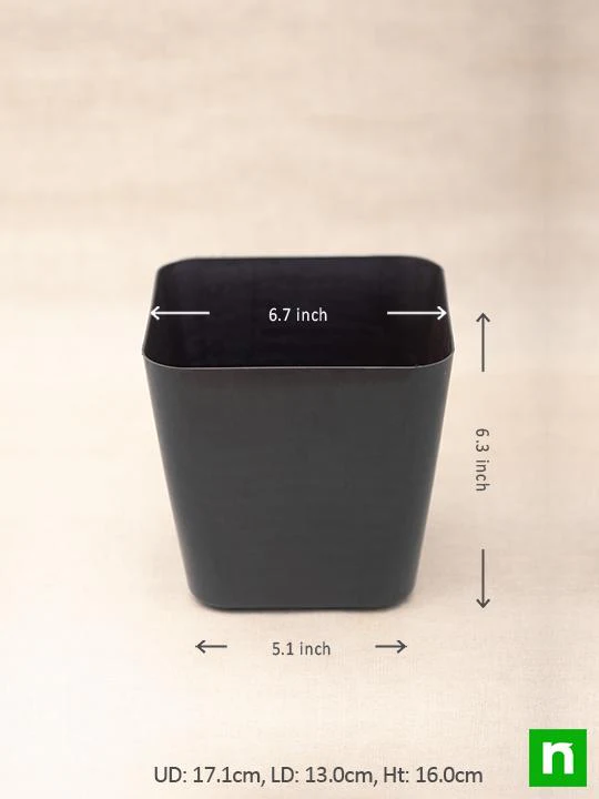 6.7 inch (17 cm) Square Plastic Planter with Rounded Edges (Black) (set of 3) - Image 3