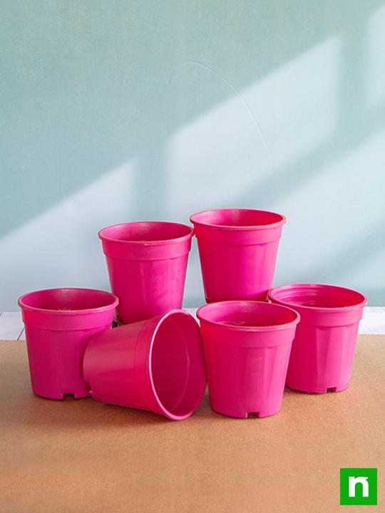 6 inch (15 cm) Grower Round Plastic Pot (Dark Pink) (set of 6) - Image 2