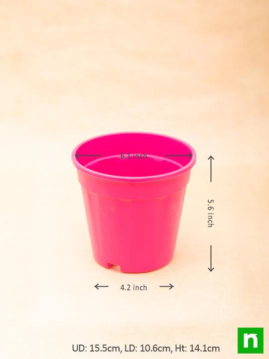 6 inch (15 cm) Grower Round Plastic Pot (Dark Pink) (set of 6) - Image 3