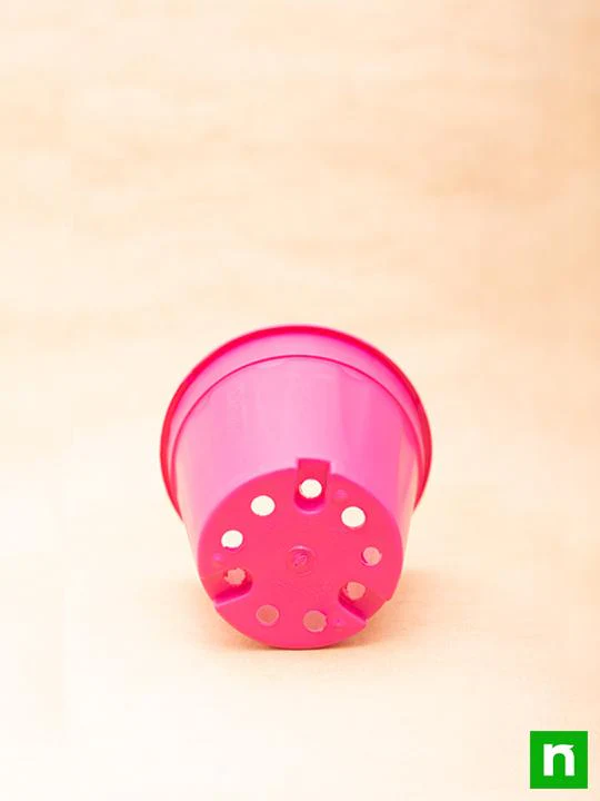 6 inch (15 cm) Grower Round Plastic Pot (Dark Pink) (set of 6) - Image 4