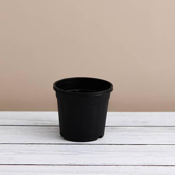 6 inch Grower Round Plastic Pot Black (set of 2) - Image 2
