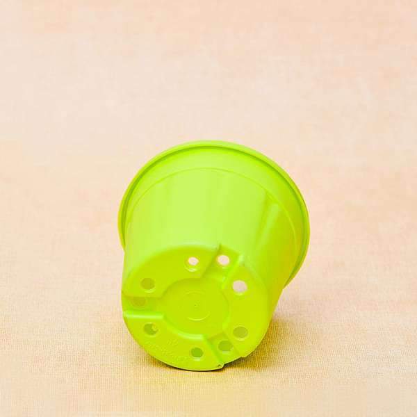 6 inch (15 cm) Grower Round Plastic Pot (Lime Yellow) (set of 6) - Image 3