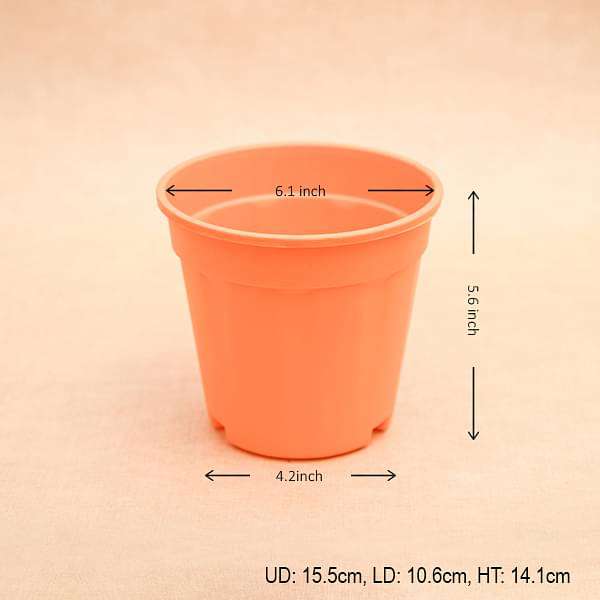 6 inch (15 cm) Grower Round Plastic Pot (Orange) (set of 6) - Image 2