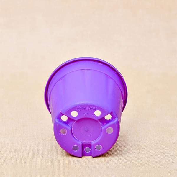 6 inch (15 cm) Grower Round Plastic Pot (Violet) (set of 6) - Image 3