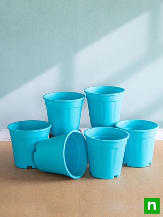 6 inch (15 cm) Grower Round Plastic Pot (Sky Blue) (set of 6) - Image 2