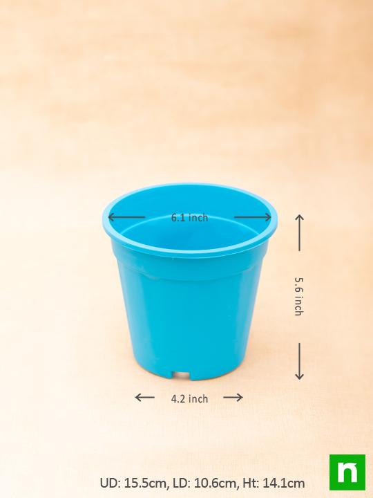 6 inch (15 cm) Grower Round Plastic Pot (Sky Blue) (set of 6) - Image 3