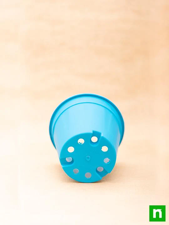 6 inch (15 cm) Grower Round Plastic Pot (Sky Blue) (set of 6) - Image 4