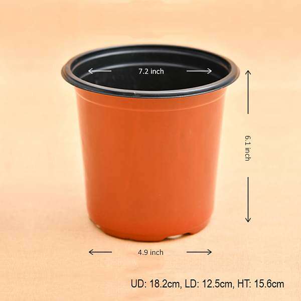 7.2 inch (18 cm) Round Plastic Thermoform Pot - Image 4
