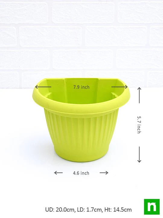 7.9 inch (20 cm) Bello Wall Mounted D Shape plastic Planters (Mix Color) - Pack of 6 - Image 2