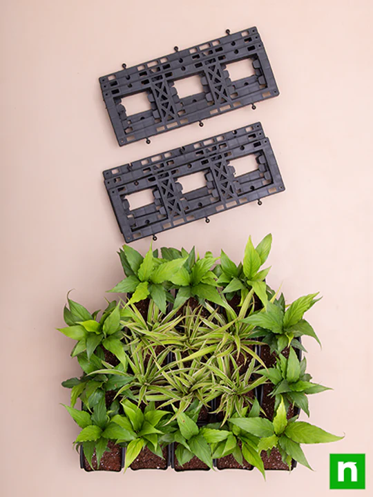 Air Purifier Green Wall for Indoor Space - Image 4