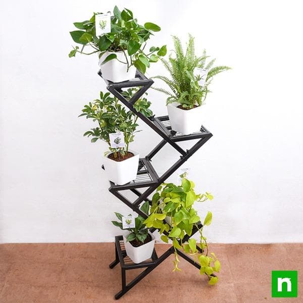 Amazing plants on metal stand for indirect light receiving home space - Image 2