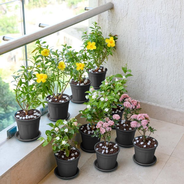 Beautiful Flower Garden in a Balcony - Image 2