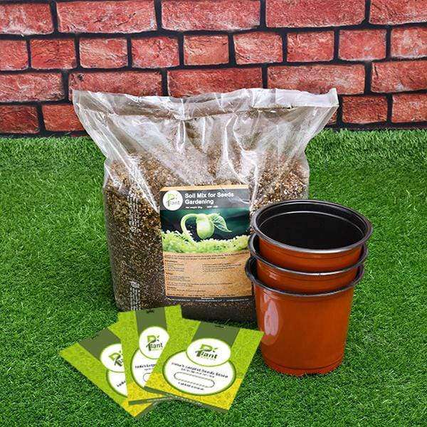 Best 3 Microgreen Seeds - Kitchen Garden Pack - Image 2