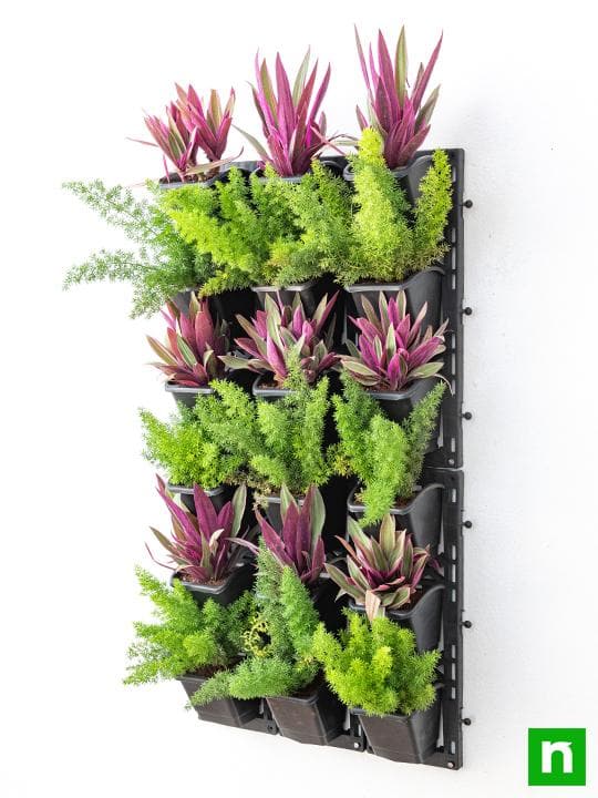 Best Foliage Plants to Beautify Outdoor Vertical Garden - Image 2