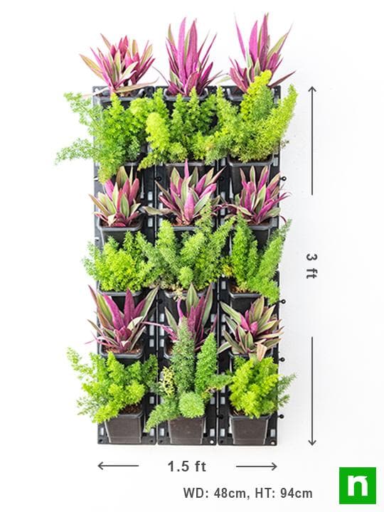 Best Foliage Plants to Beautify Outdoor Vertical Garden - Image 3