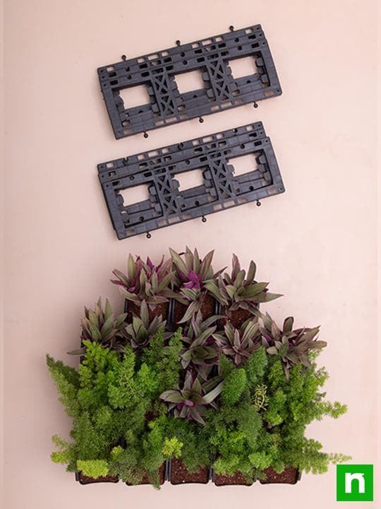 Best Foliage Plants to Beautify Outdoor Vertical Garden - Image 4