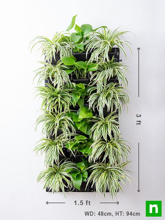 Best Indoor Survivals for Vertical Garden - Image 3