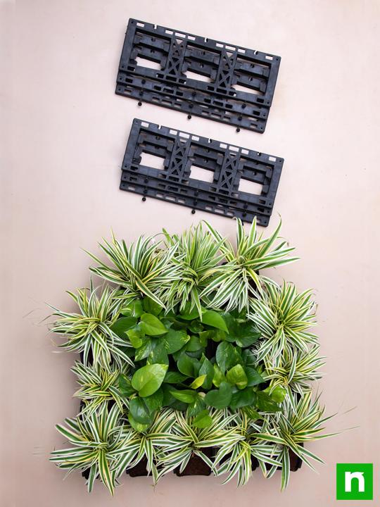 Best Indoor Survivals for Vertical Garden - Image 4