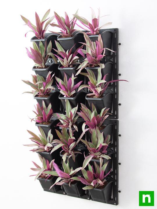Best Outdoor Plants for Vertical Garden - Image 2
