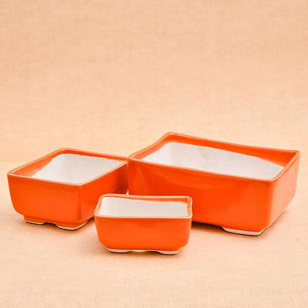Bonsai Rectangle Ceramic Pots - Pack of 3 - Image 2