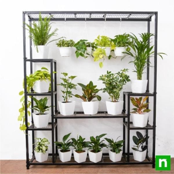 Bring eye-catching elegance with plants on metal stand for bright indirect light location - Image 3