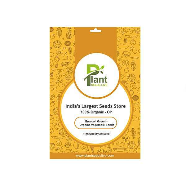 Broccoli Green - Organic Vegetable Seeds - Image 2