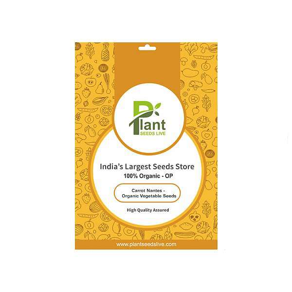 Carrot Nantes - Organic Vegetable Seeds - Image 2