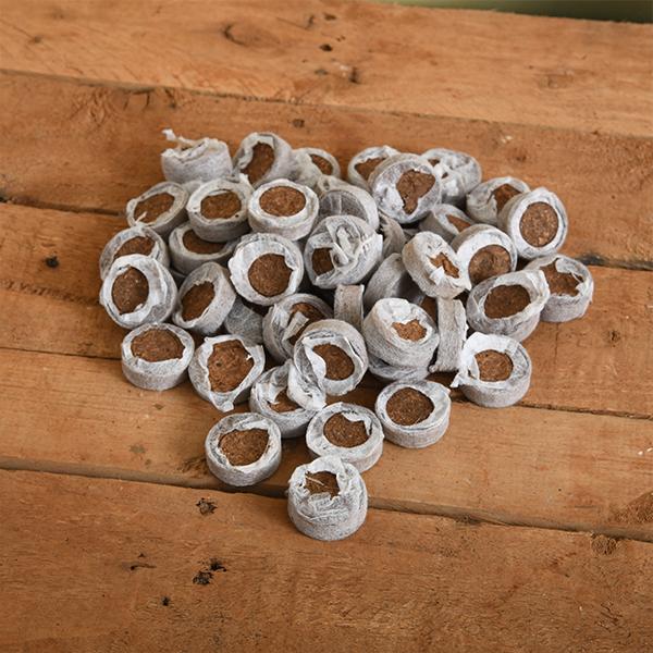Coir Coin (Netted, 30 mm) (Set of 50)