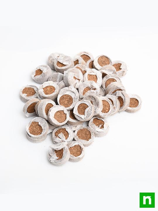 Coir Coin (Netted, 30 mm) (Set of 50) - Image 3