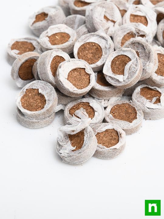 Coir Coin (Netted, 30 mm) (Set of 50) - Image 4