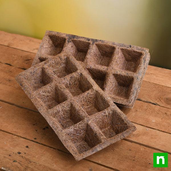 Coir Germination Tray (8 Cells, Square) (Set of 5)