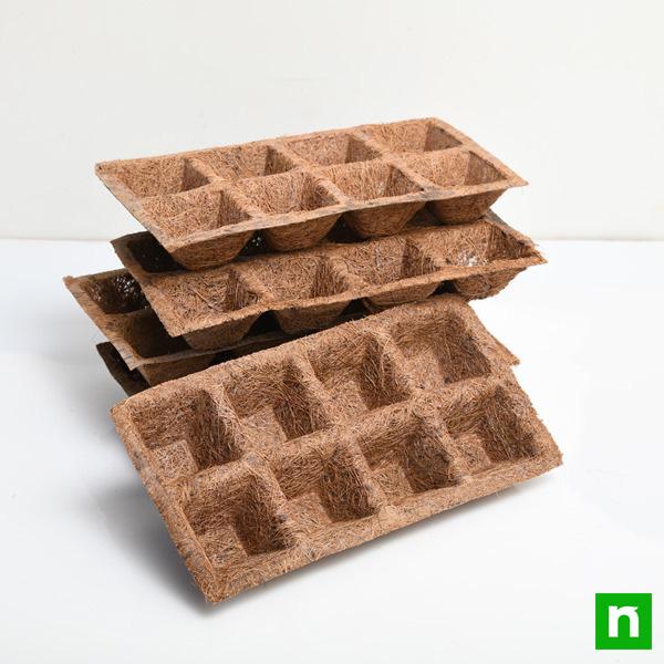 Coir Germination Tray (8 Cells, Square) (Set of 5) - Image 2