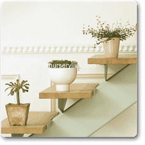 Comfortable 3BHK (Basic) Plant Decor Pack