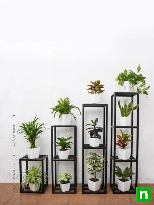 Create greenery with houseplants on metal stand in indirect bright light - Image 3