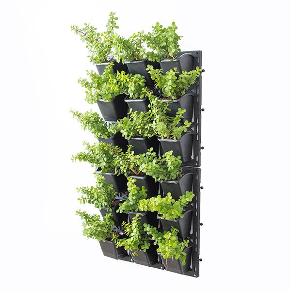 Create Outdoor Good Luck Wall to Bring Prosperity