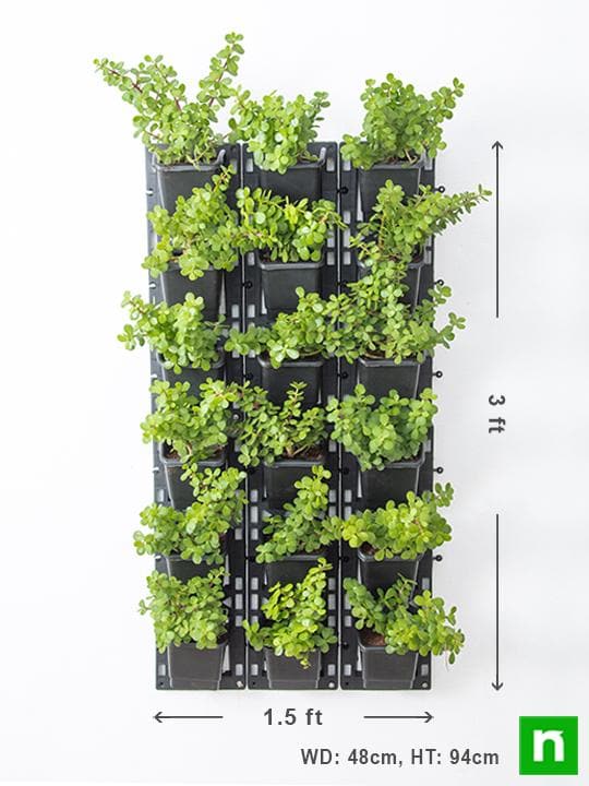 Create Outdoor Good Luck Wall to Bring Prosperity - Image 3
