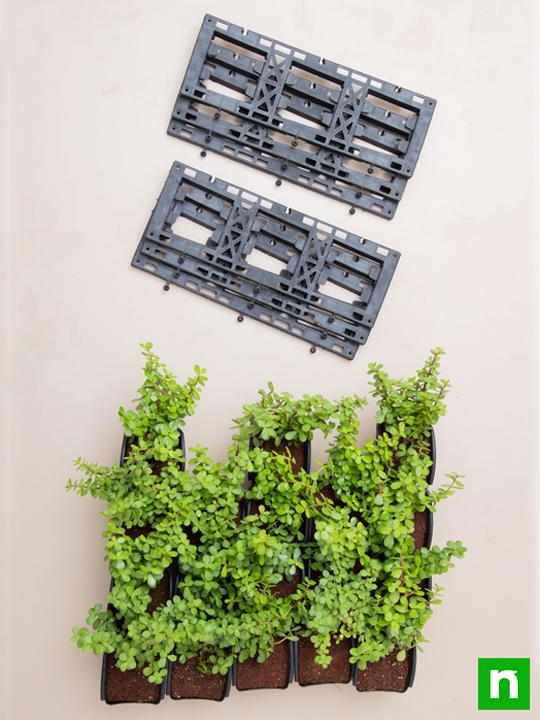 Create Outdoor Good Luck Wall to Bring Prosperity - Image 4