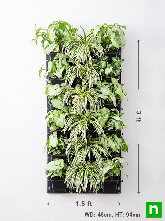 Decorate Indoor Space with Green Vertical Garden at Home - Image 3