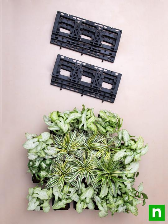 Decorate Indoor Space with Green Vertical Garden at Home - Image 4